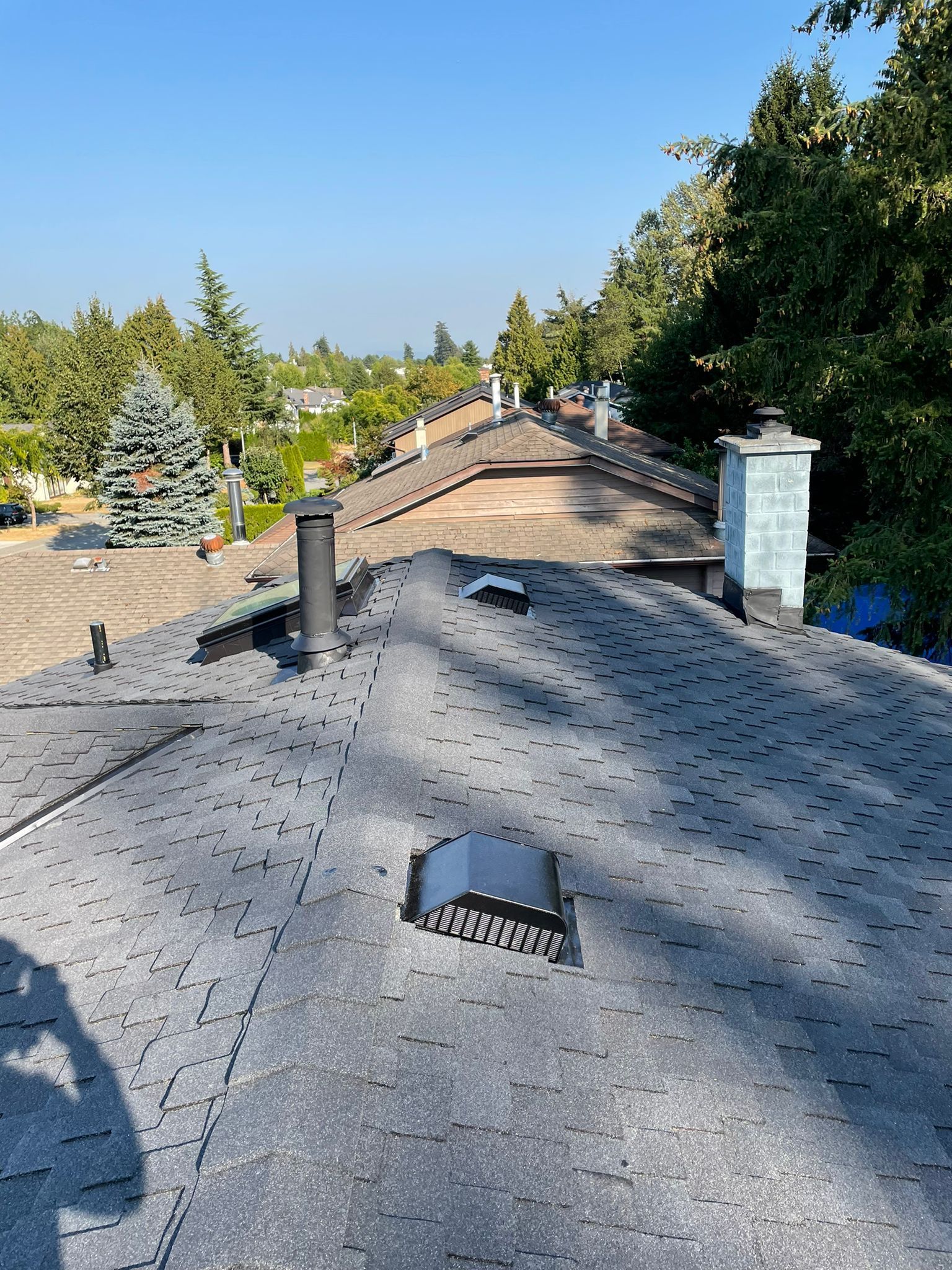 A roof with a chimney on it and trees in the background.