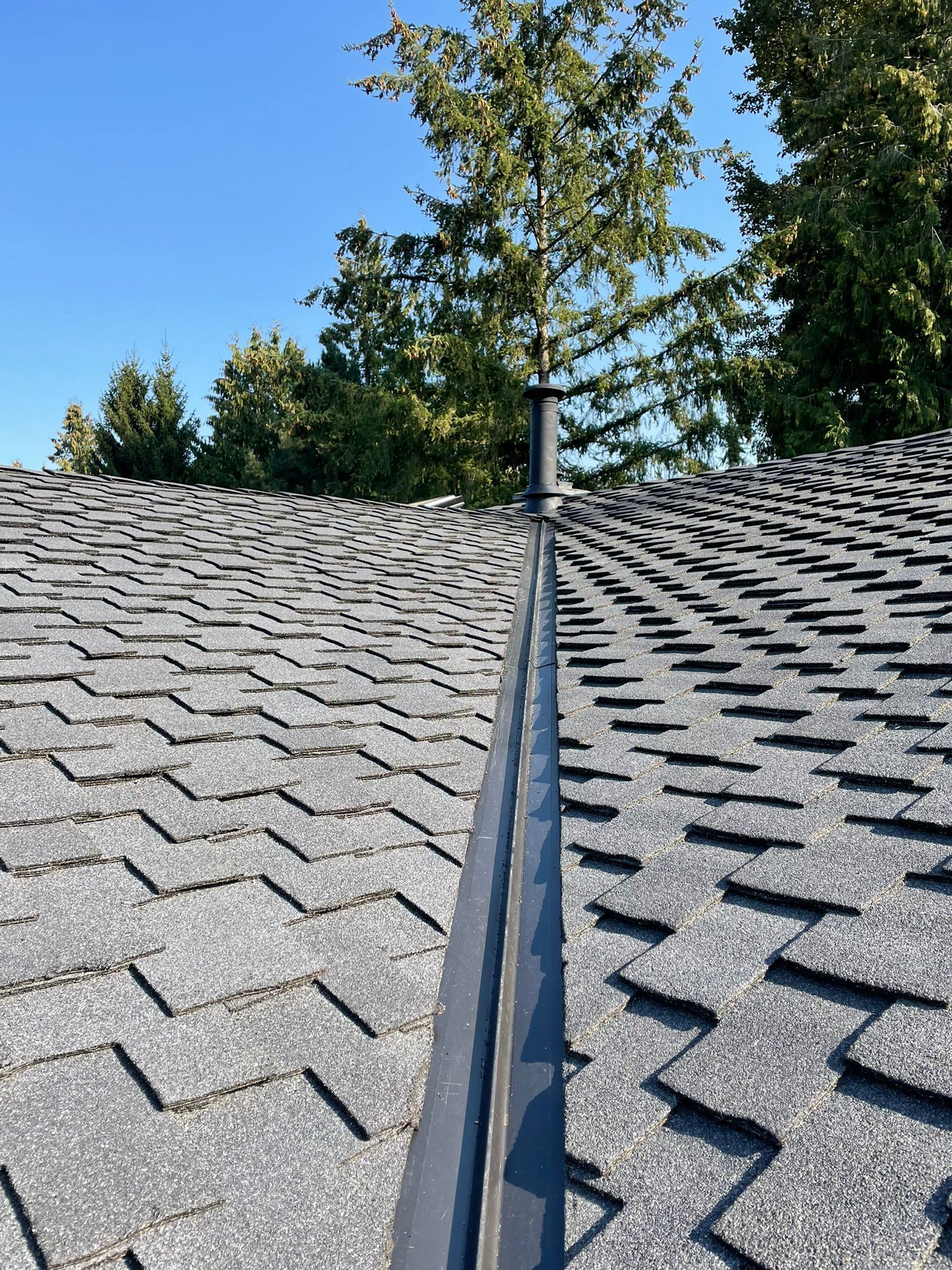 A close up of a roof with a tree in the background.