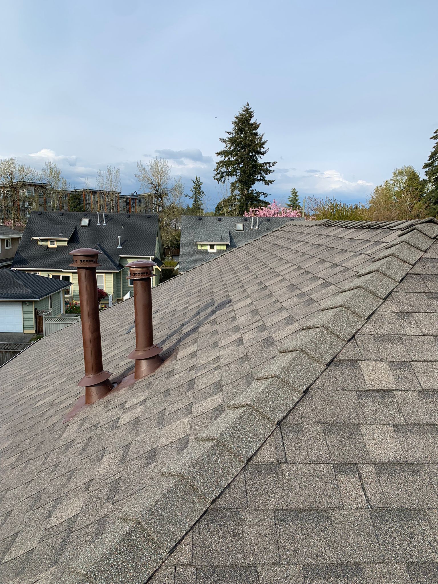 There are two chimneys on the roof of a house.