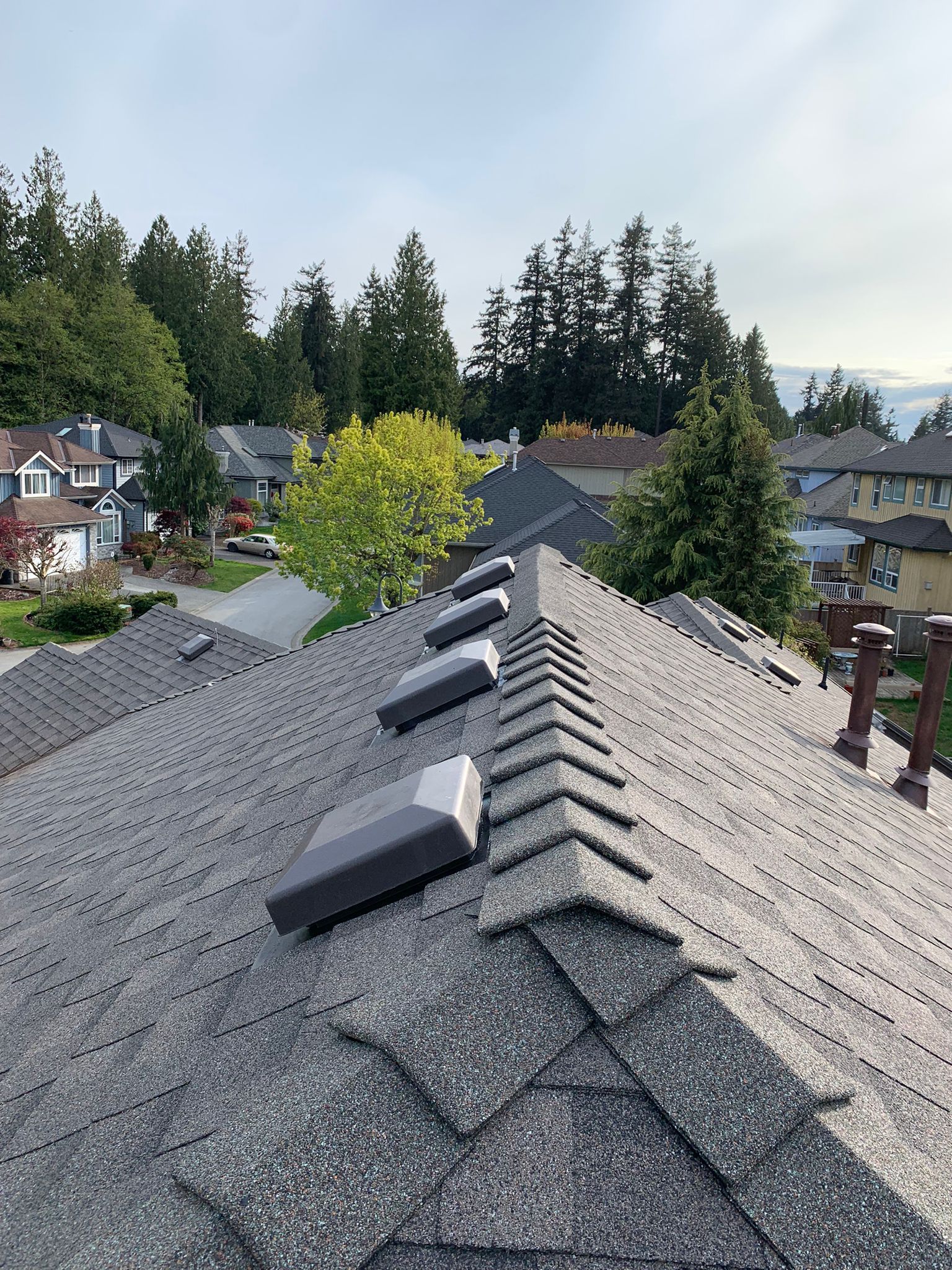 Gray shingled roof with four gray vents, overlooking a residential neighborhood with green trees and houses.