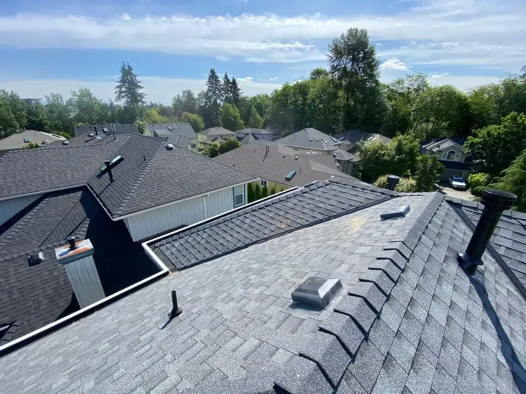 A rooftop view of a residential area with a lot of houses and trees.