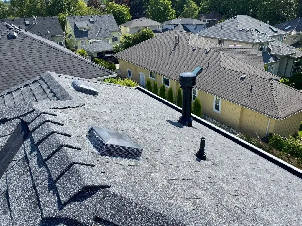 A roof with a skylight and a chimney on it in a residential area.