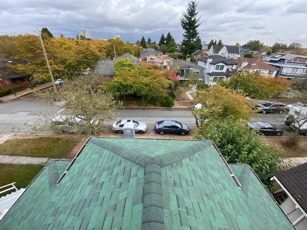 An aerial view of a green roof in a residential area.