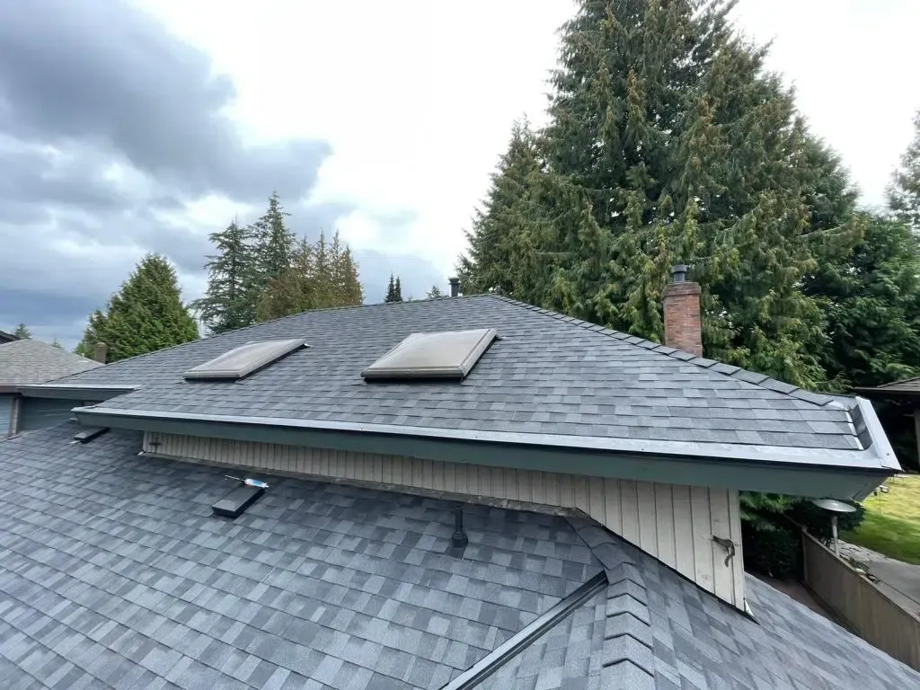 A roof with two skylights on it and trees in the background.