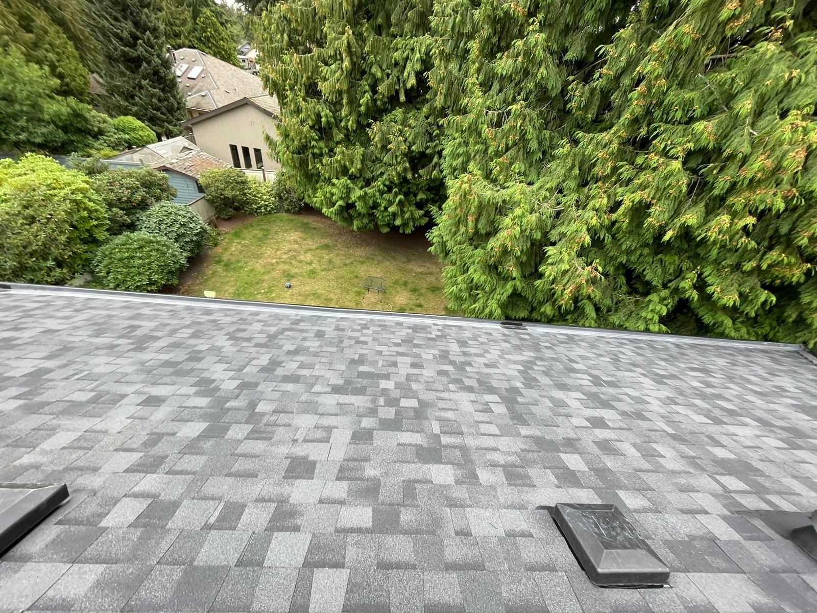 A roof with a lot of trees in the background and a house in the background.