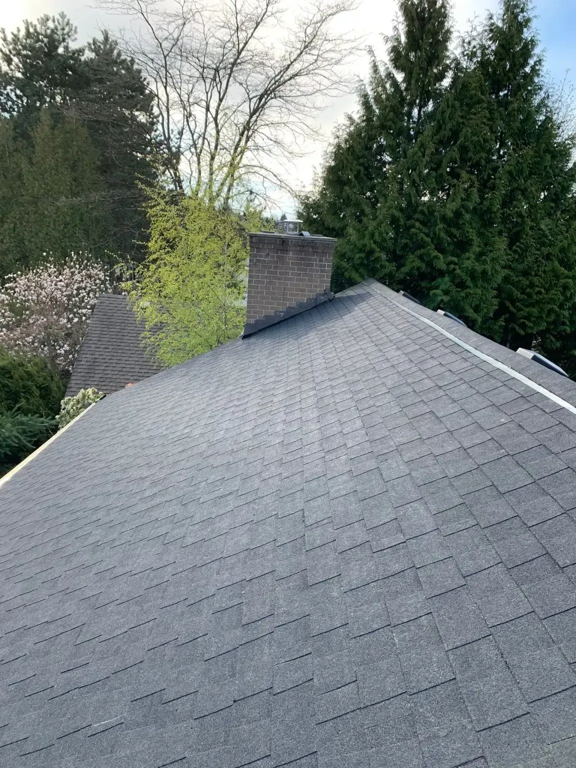 Dark grey shingled roof with a chimney, set against a backdrop of trees and a cloudy sky.