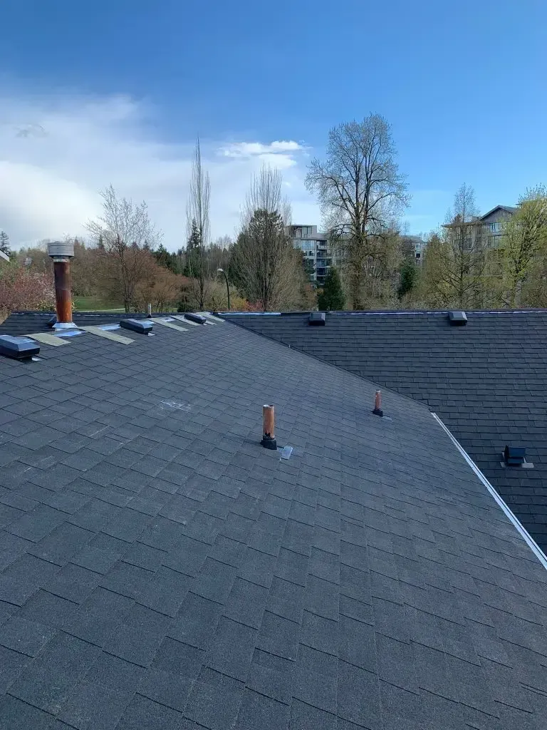 A roof with a chimney on it and trees in the background.