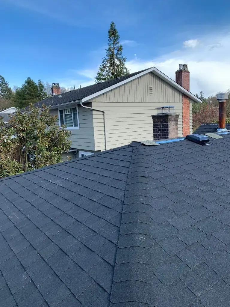 A house with a black roof and a chimney on top of it.