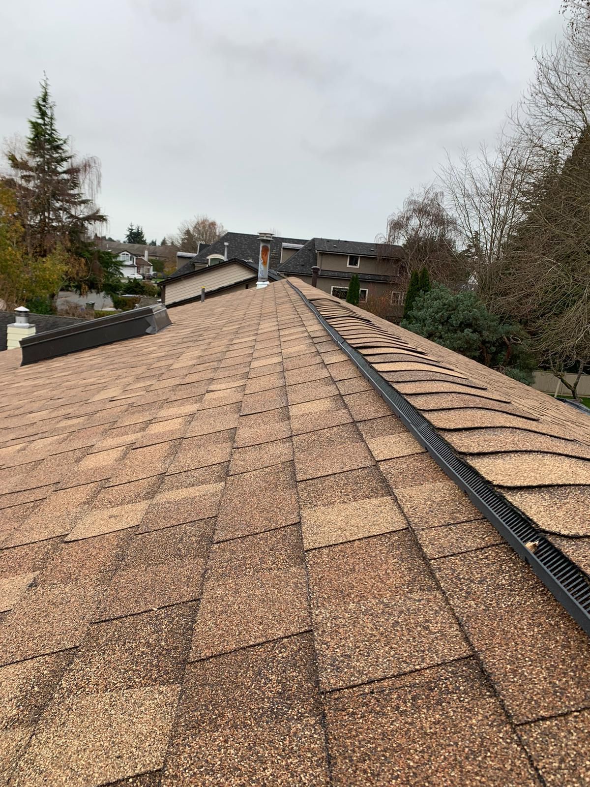 A close up of a roof with shingles on it. coquitlam roofing, vancouver roofing