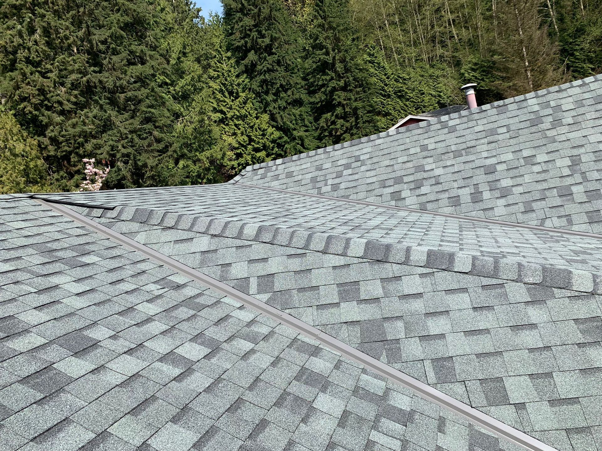 cheap asphalt shingles for residential roof install near me paragon roofing vancouver roofing, roofs