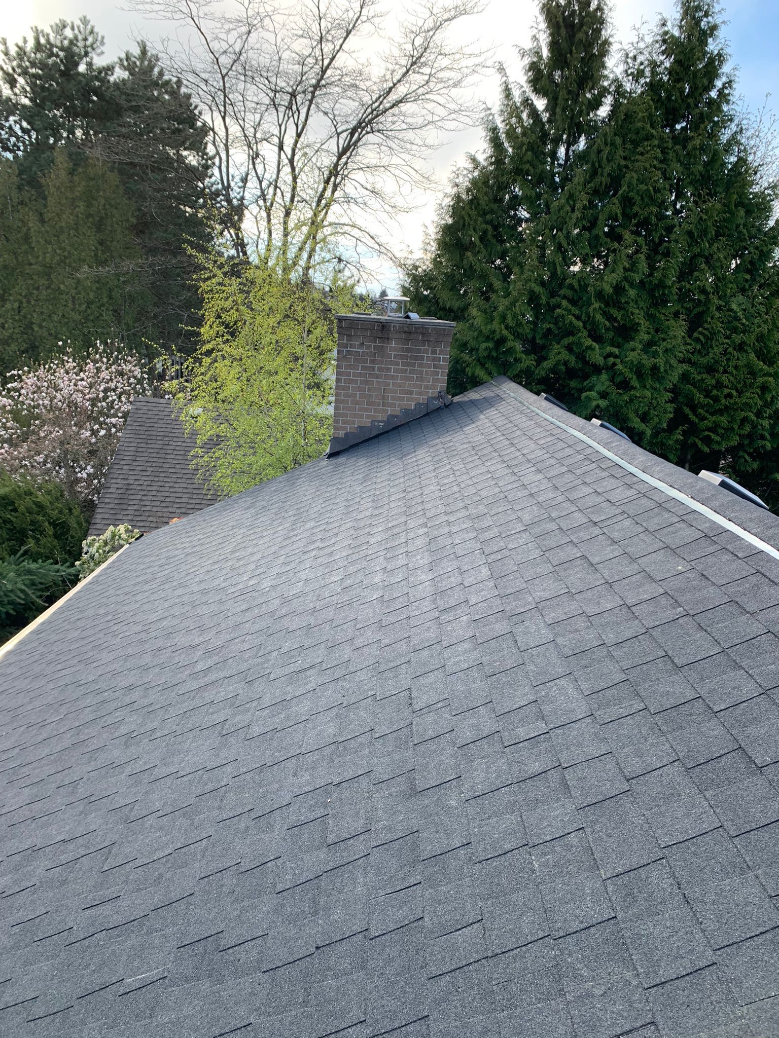 Architectural asphalt shingle roof replacement completed on a residential home in Richmond BC by Paragon Roofing BC certified installers
