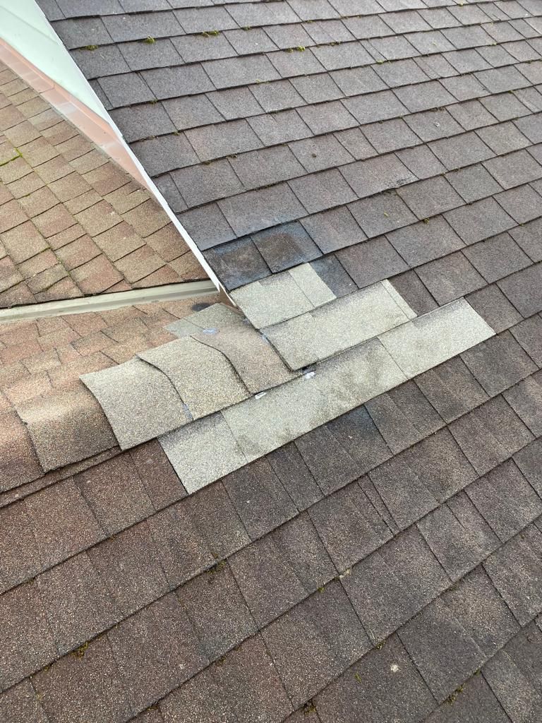 langley roof repair companies