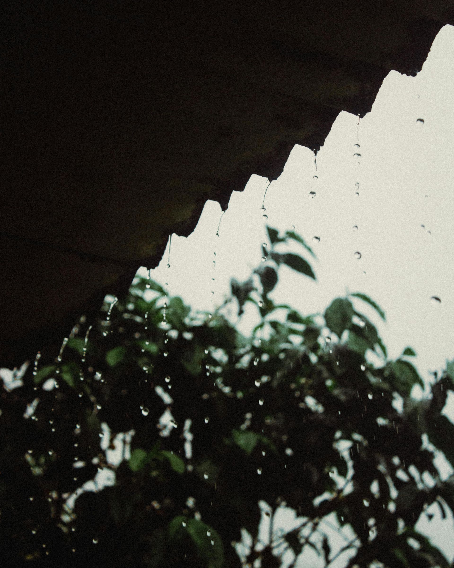 Raindrops falling from a corrugated roof over leafy green foliage against a cloudy sky.