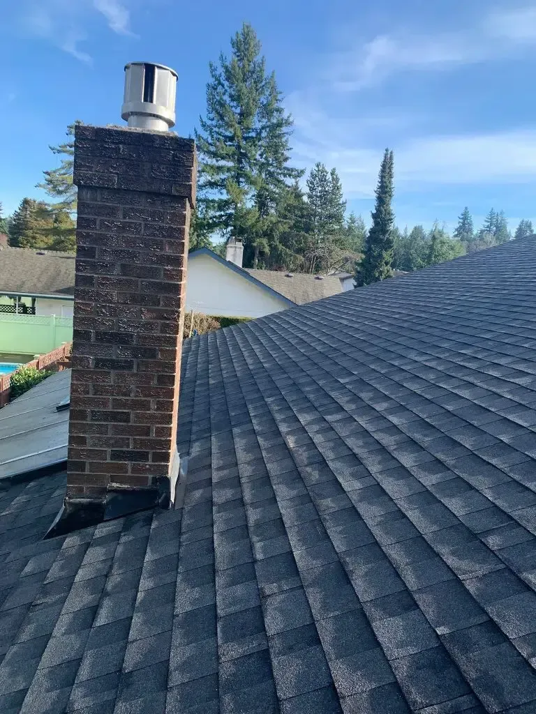 There is a chimney on the roof of a house.