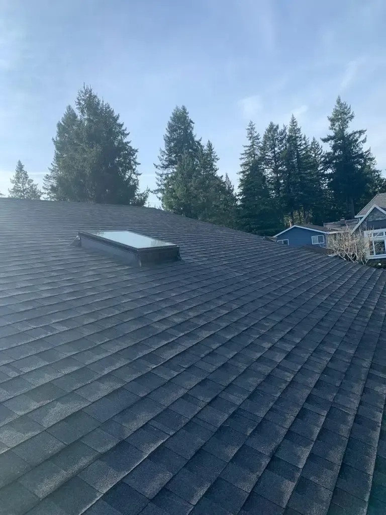 A roof with a skylight on it and trees in the background.