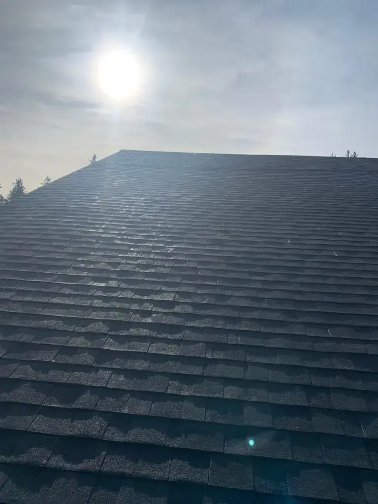 The sun is shining brightly on the roof of a house.