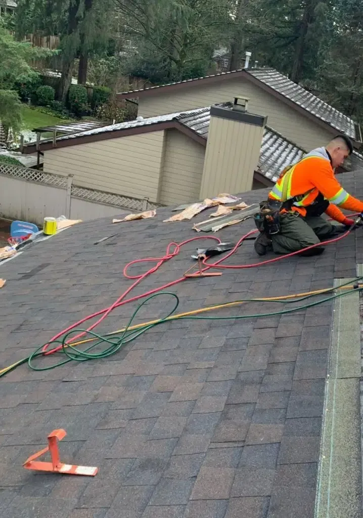 roof leak inspection services