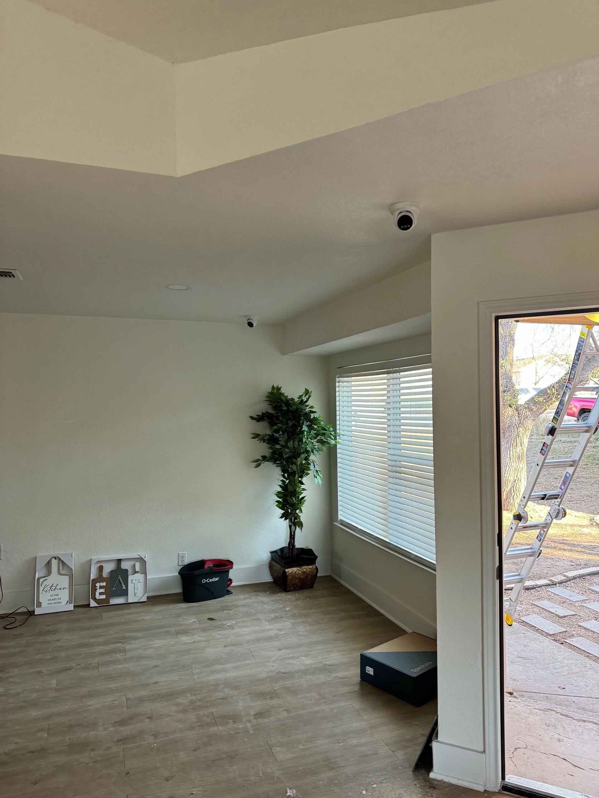 Empty living room with wood floor, potted plant, window blinds, and open door to outside.
