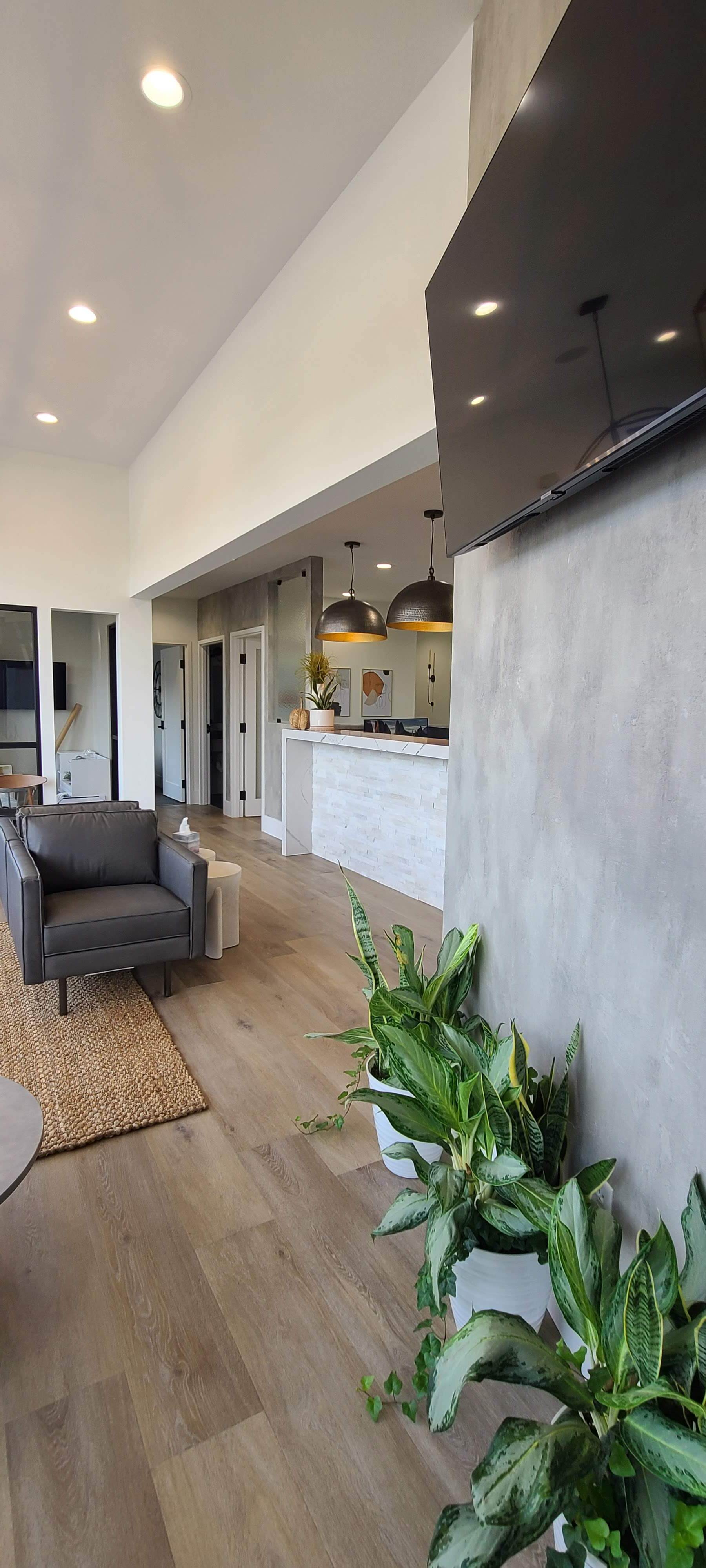 A living room with a couch , chair , and potted plants.