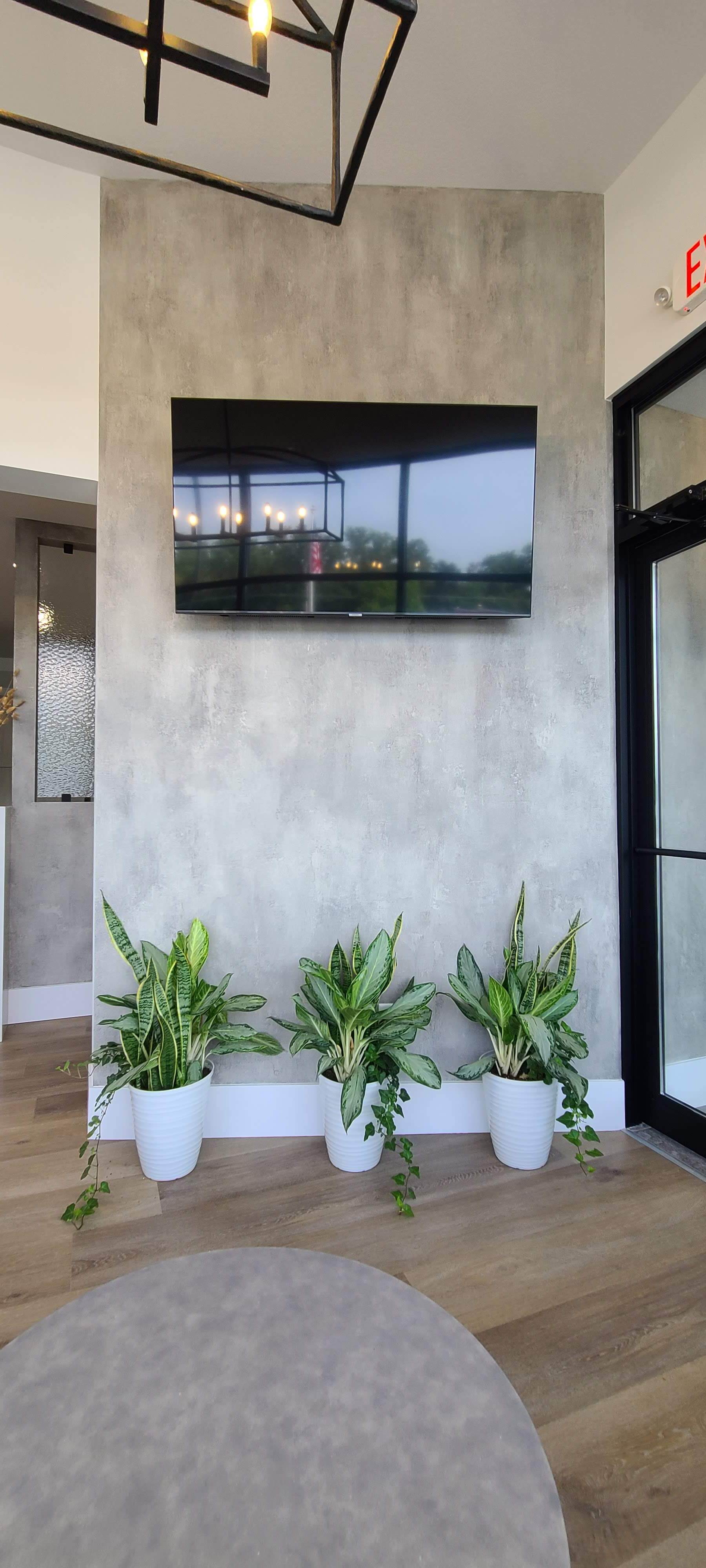 A living room with potted plants and a flat screen tv on the wall.
