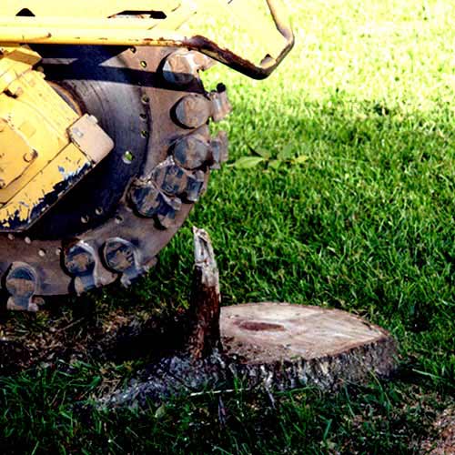 Removing Stump - Tree Service in Blairsville, PA