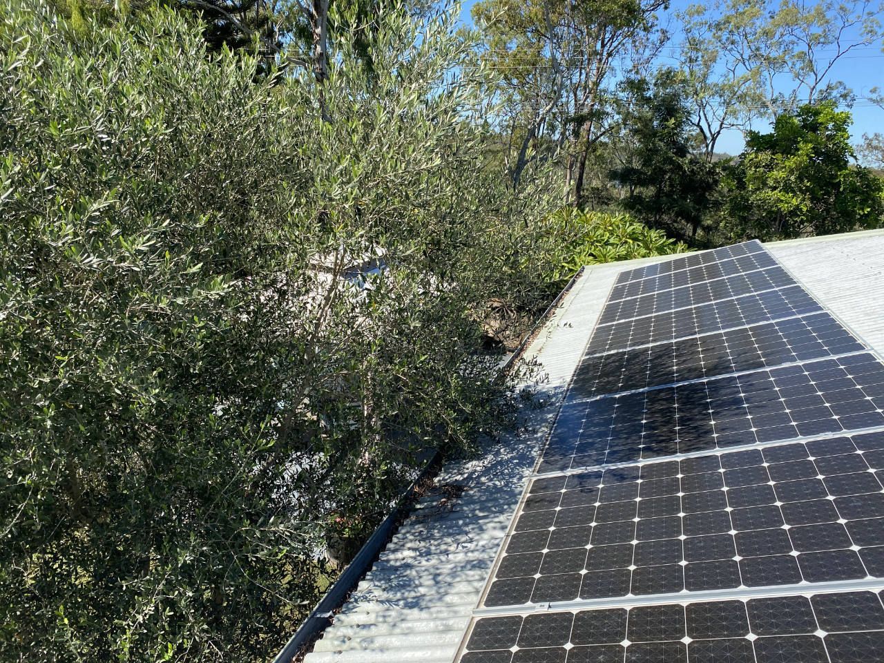 Solar Panels Ipswich Service
