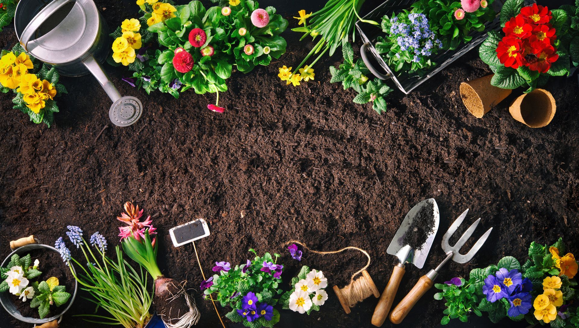 Gardening tools and colourful flowers on soil, highlighting soil supplies.