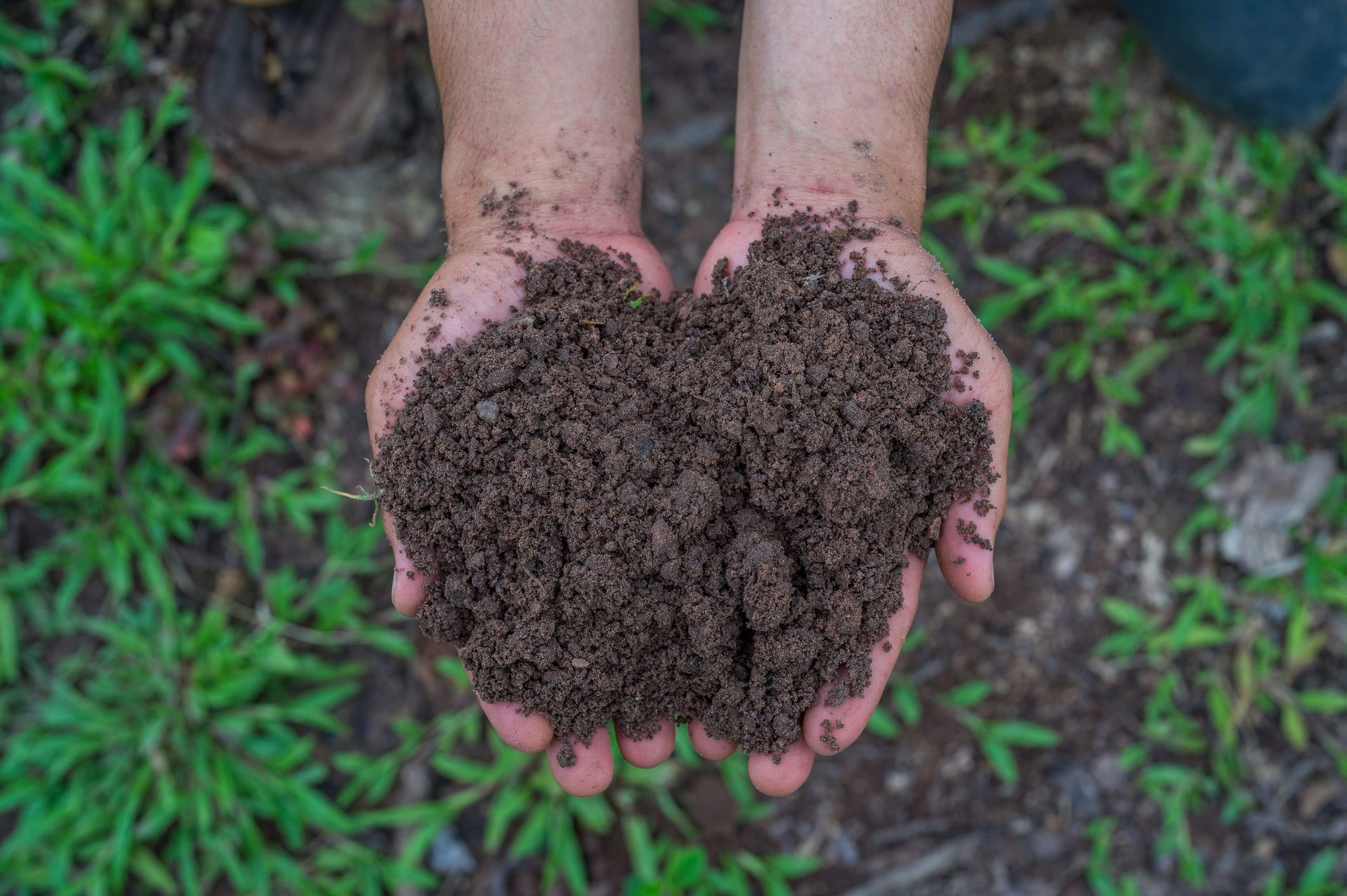 Hands holding good-quality soil | Soil supplies | Brisbane Hands holding good-quality soil | Soil supplies | Brisbane
