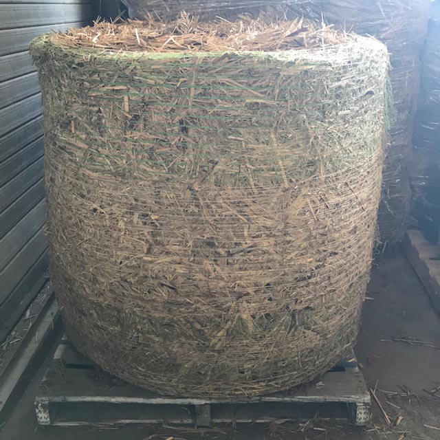 Bark and Mulch Suppliers in Brisbane Apollo Landscaping