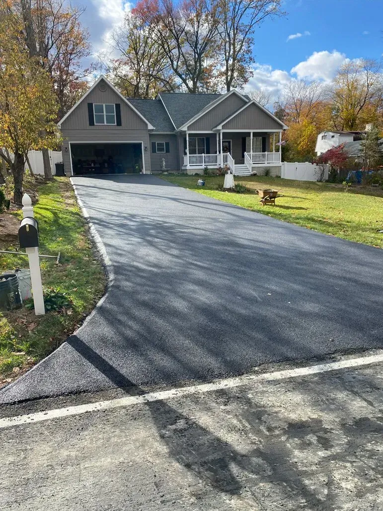 PEOPLE PAVING DRIVEWAY