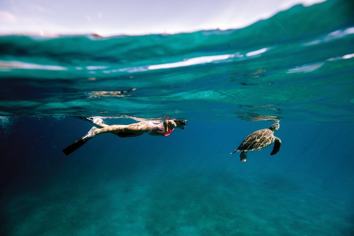 Woman snorkeling with turtle beside