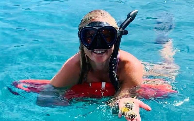 Turtle coming from under the water