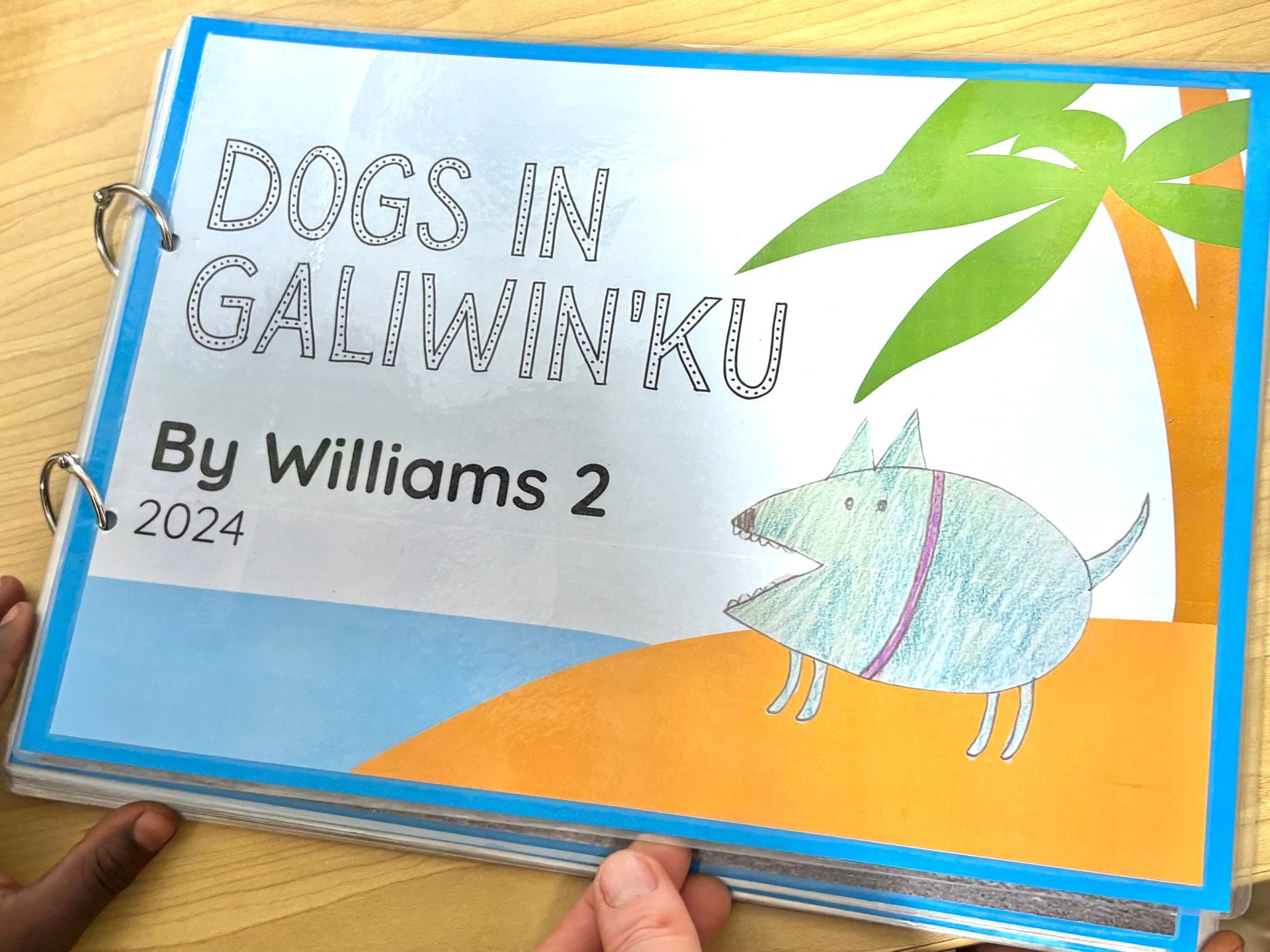 A book with the title Dogs in Galiwin'ku and a drawing of a dog on a beach