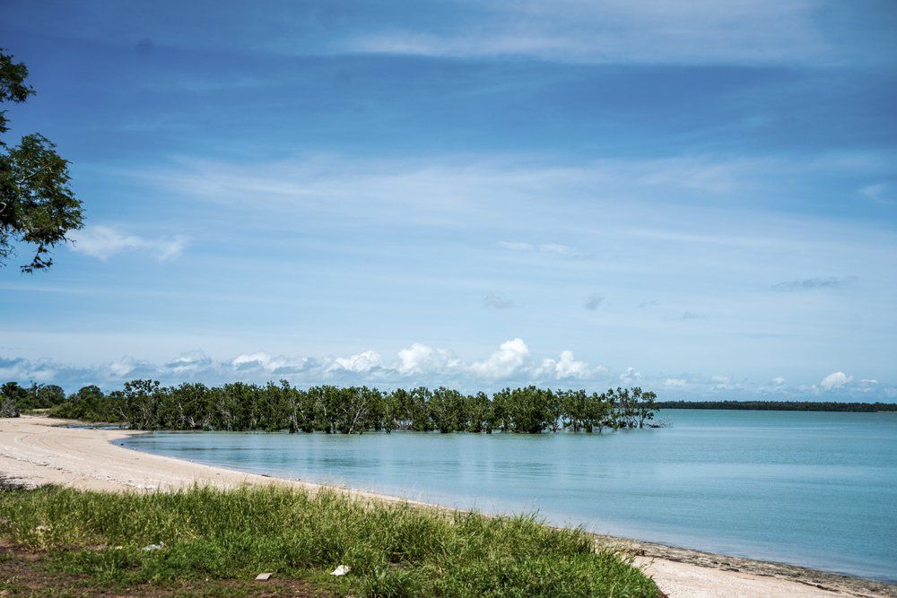 A beach with white sand and mangroves in the distance