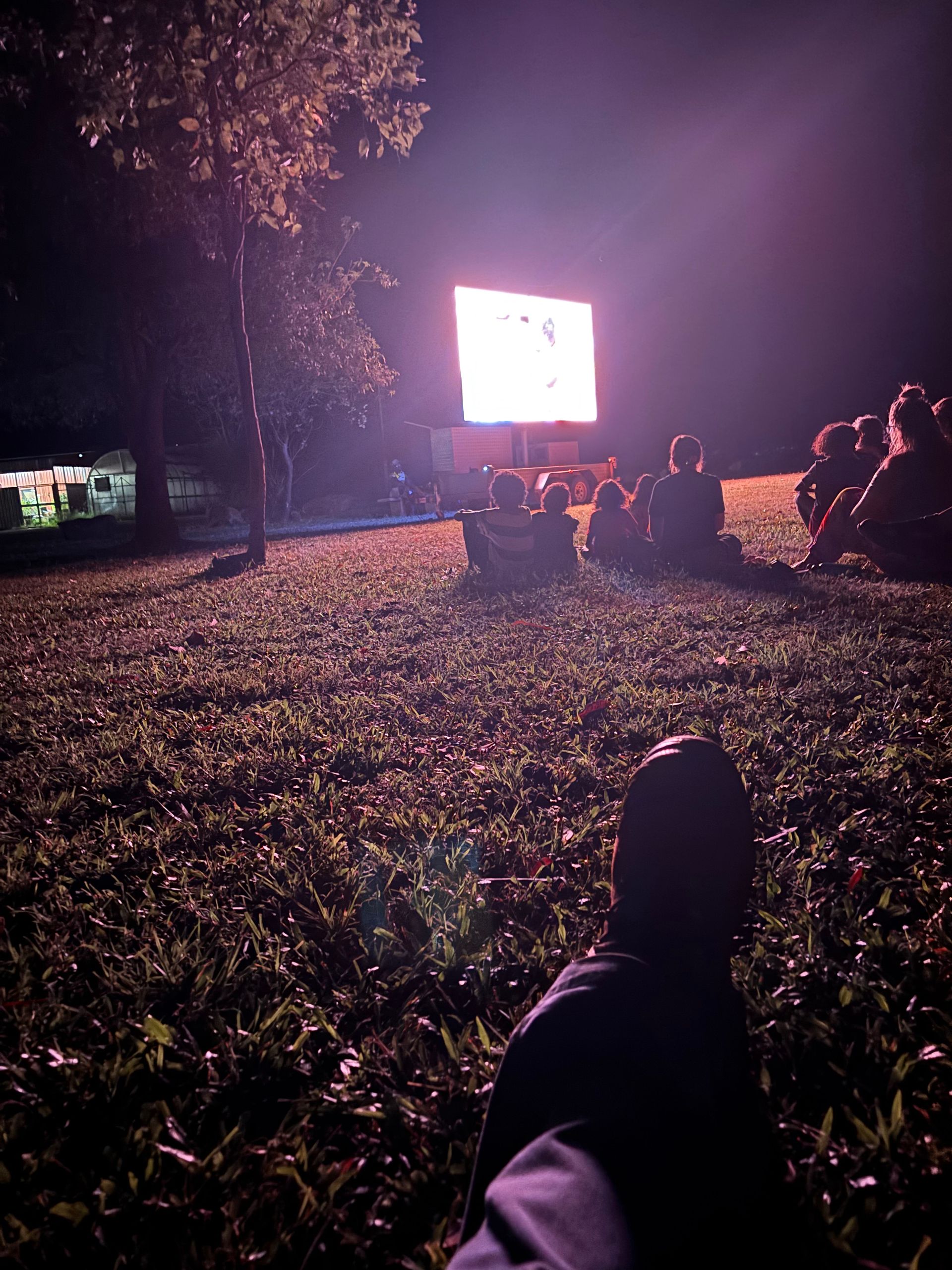 A group of people watching a film outdoors