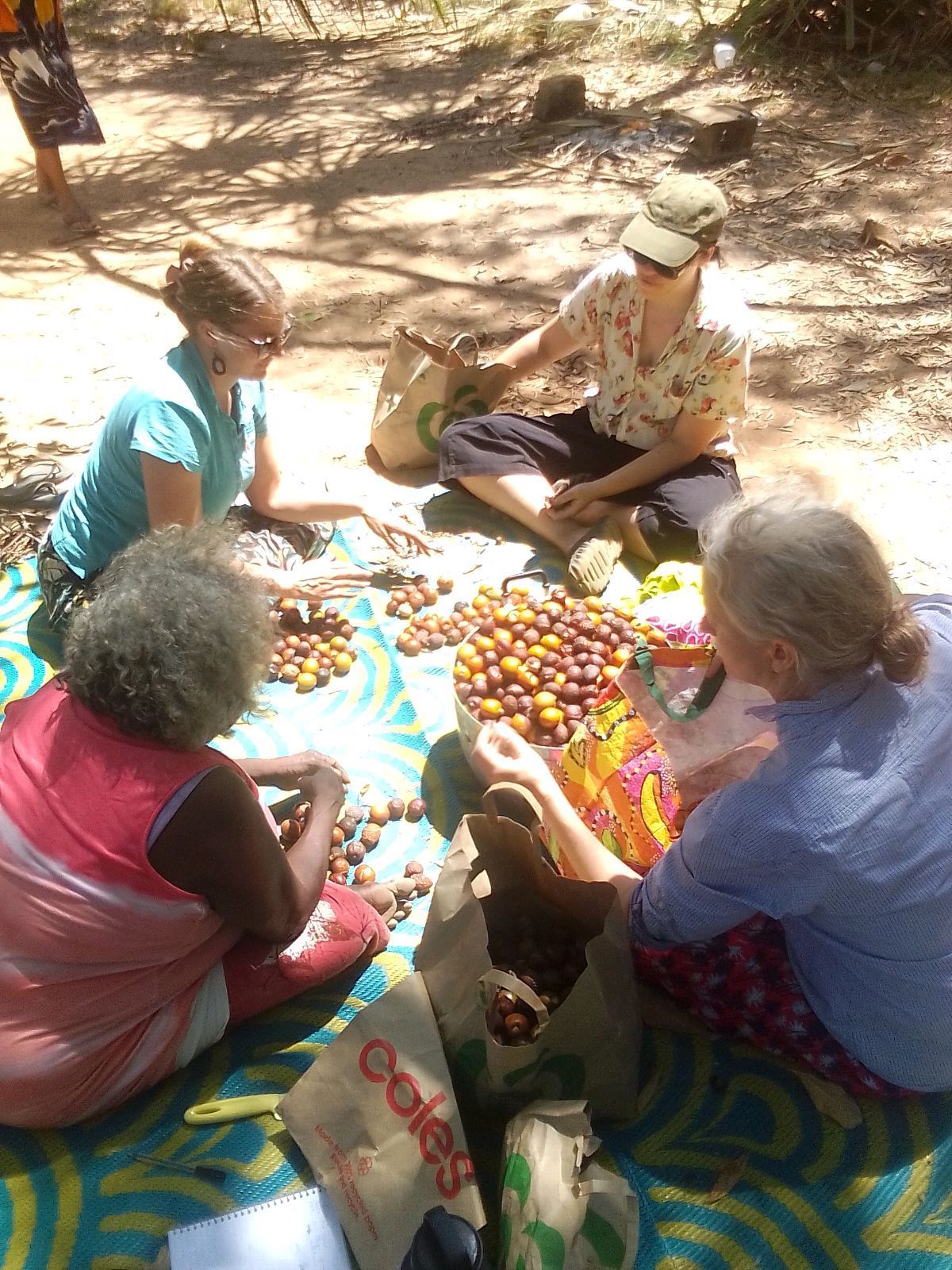 A group of 4 people sitting on a mat in the bush sorting bush tucker