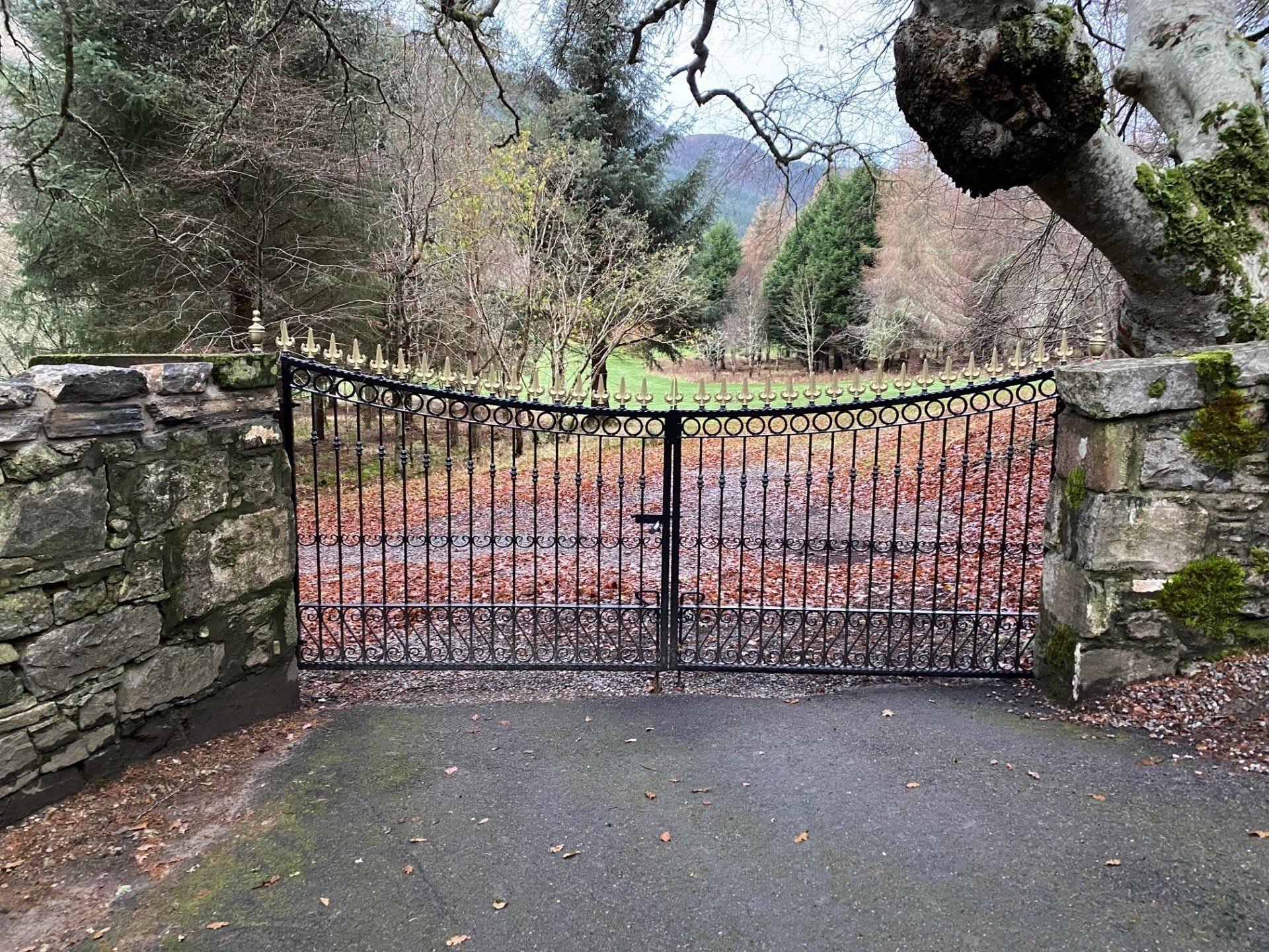 Decorative black and gold metal gate