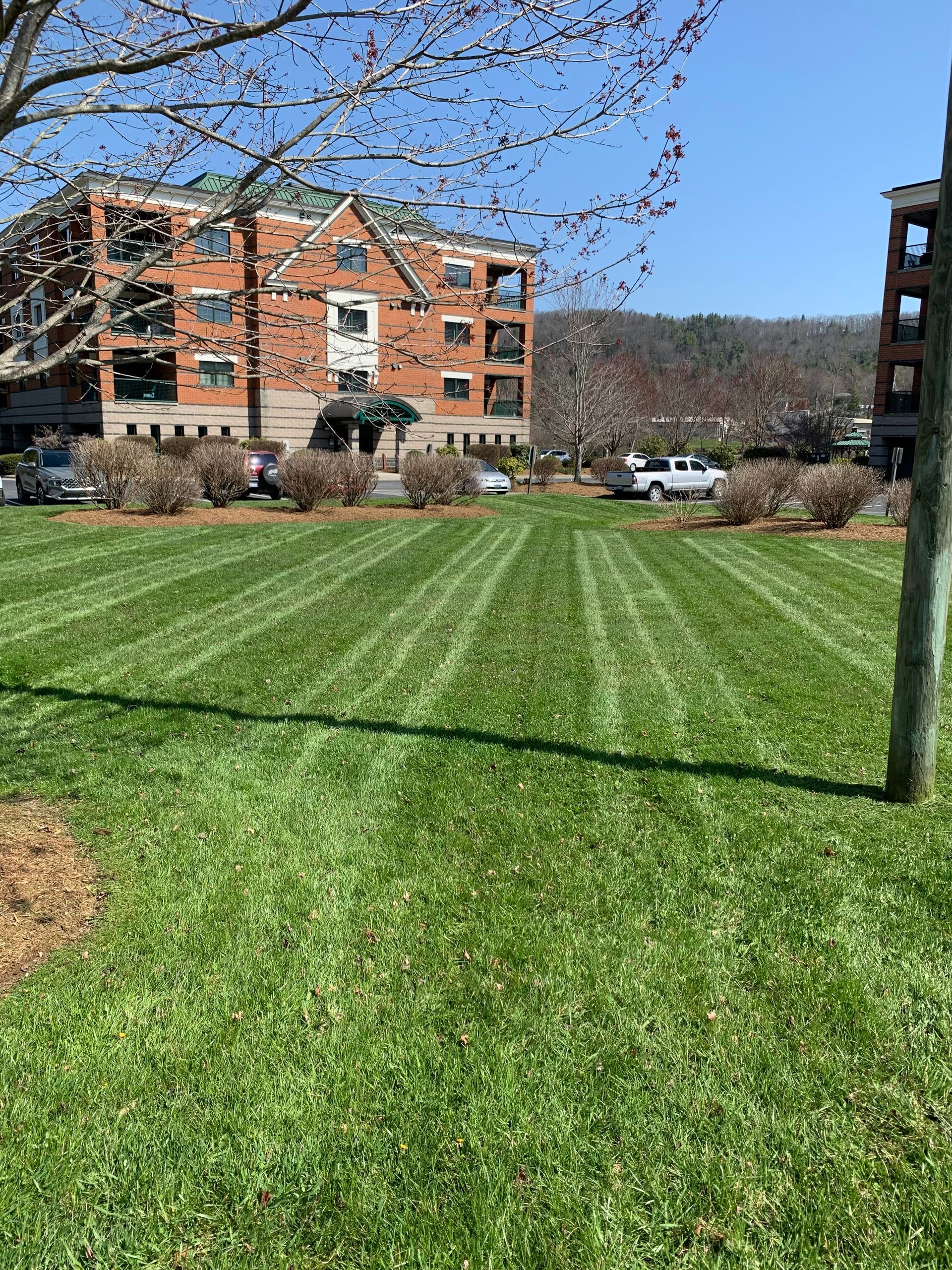 Grass — Circle Drive Villas, NC  — Mountaineer Maintenance Inc.