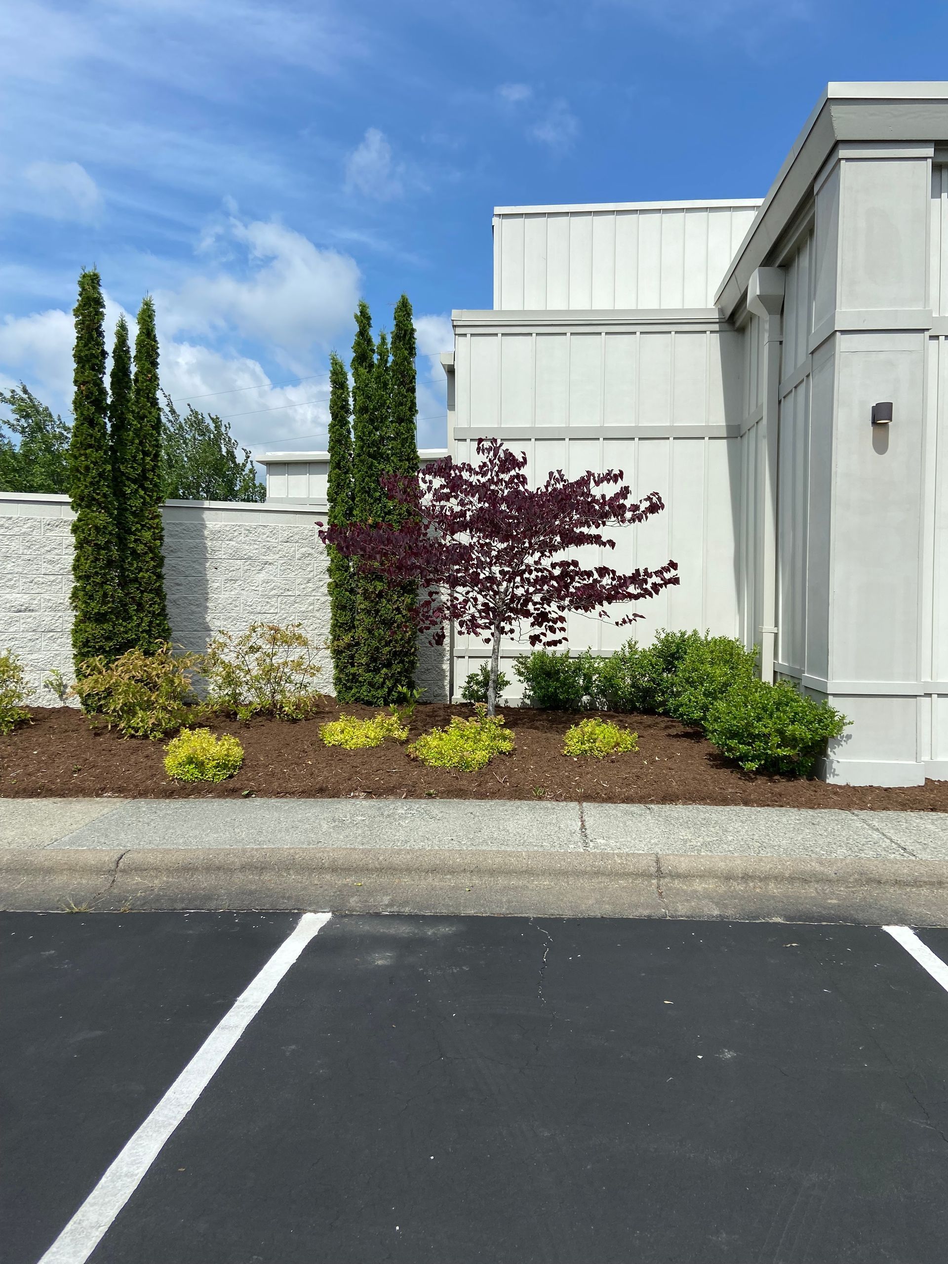 Grass — Circle Drive Villas, NC  — Mountaineer Maintenance Inc.