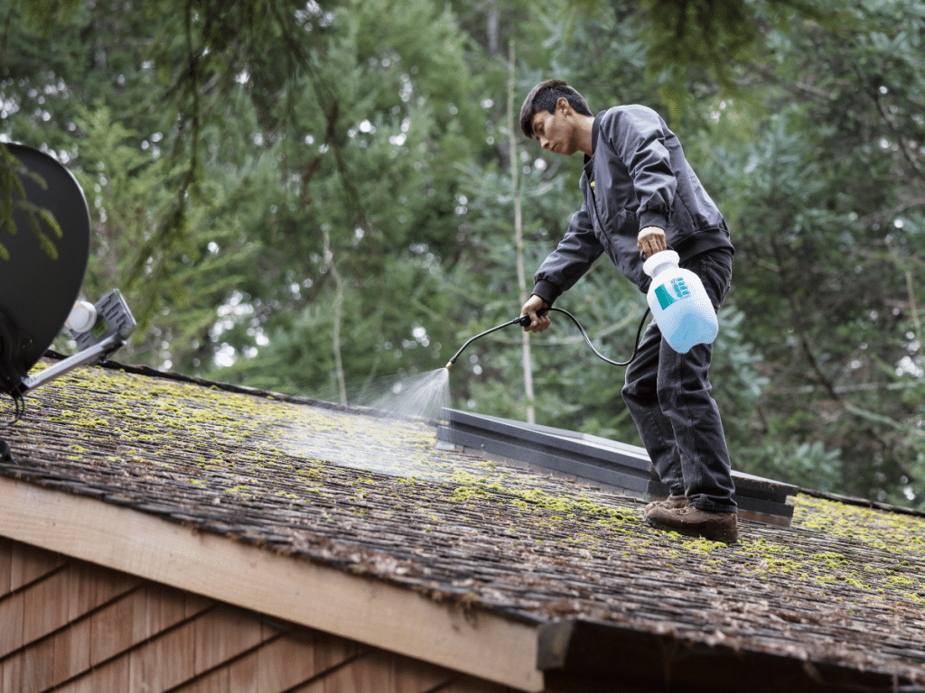 A man is spraying a roof with a spray bottle.