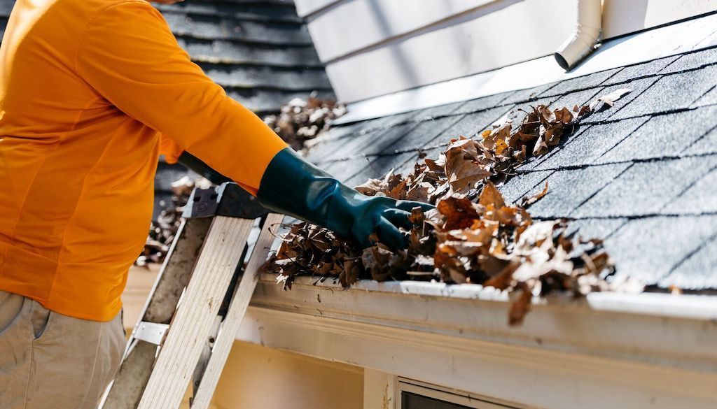 A person is cleaning the gutters of a house with a ladder.