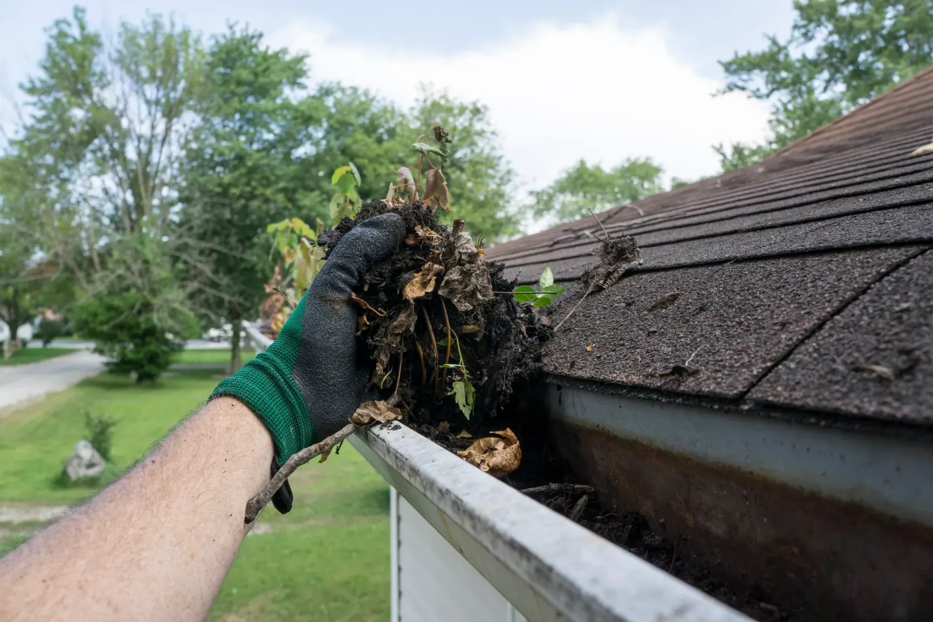 A person is cleaning a gutter of leaves from a roof.