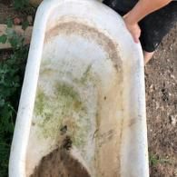 A person stands outdoors next to a dirty, worn, white antique-style bathtub filled with dirt and debris.
