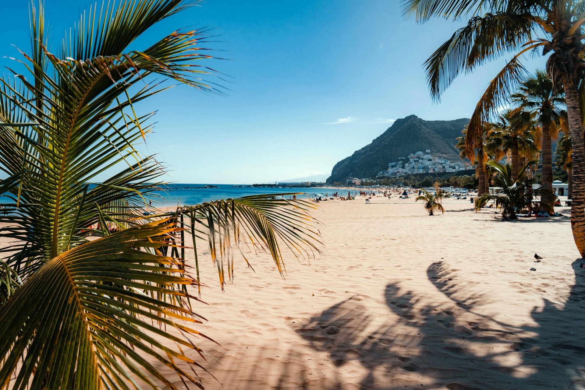 Spiaggia sabbiosa con palme, oceano, cielo azzurro e una montagna sullo sfondo.