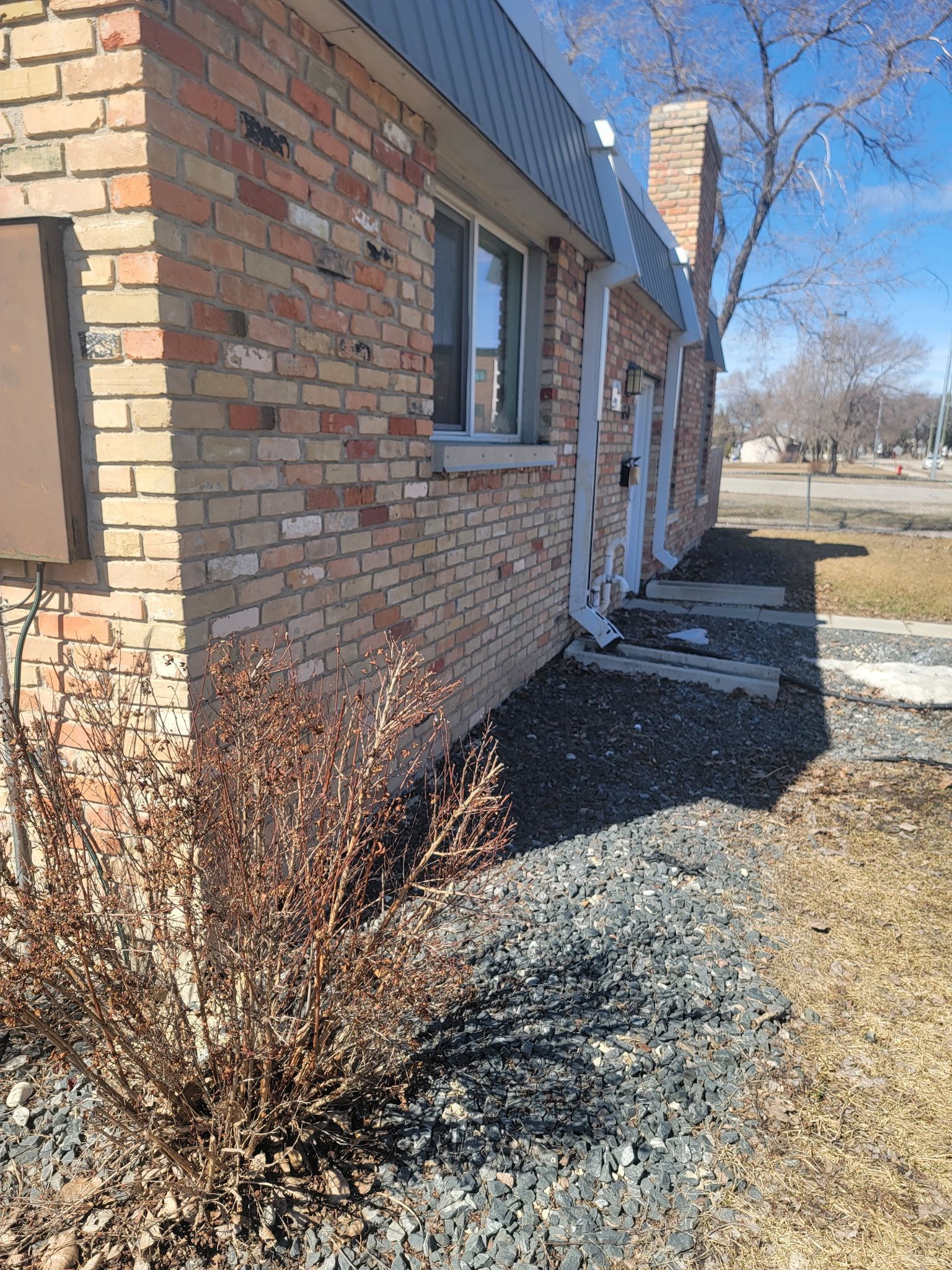 An exterior view of a brick house featuring a single window, a prominent downspout, and a dry, barren bush in the yard.