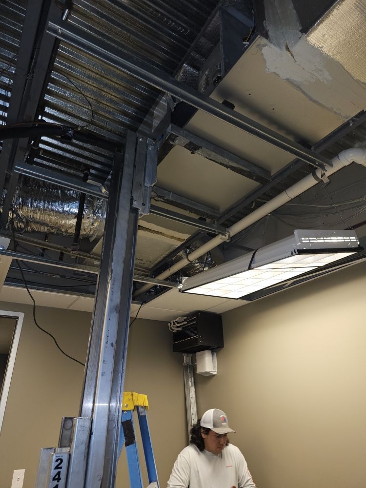 Person in a baseball cap stands under a ceiling with exposed metal framework, lights, and a ladder.