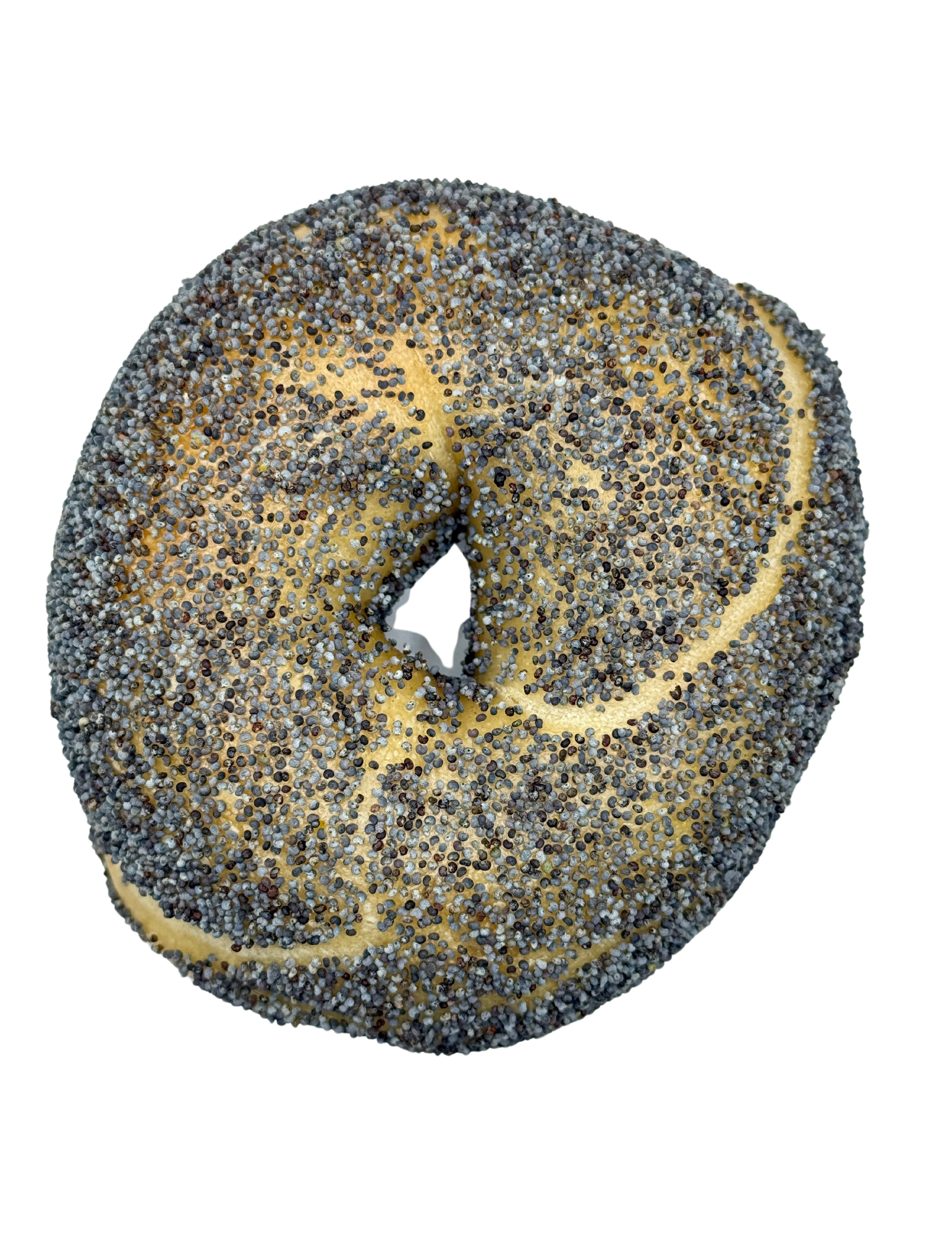 A close up of a poppy seed bagel on a white background.