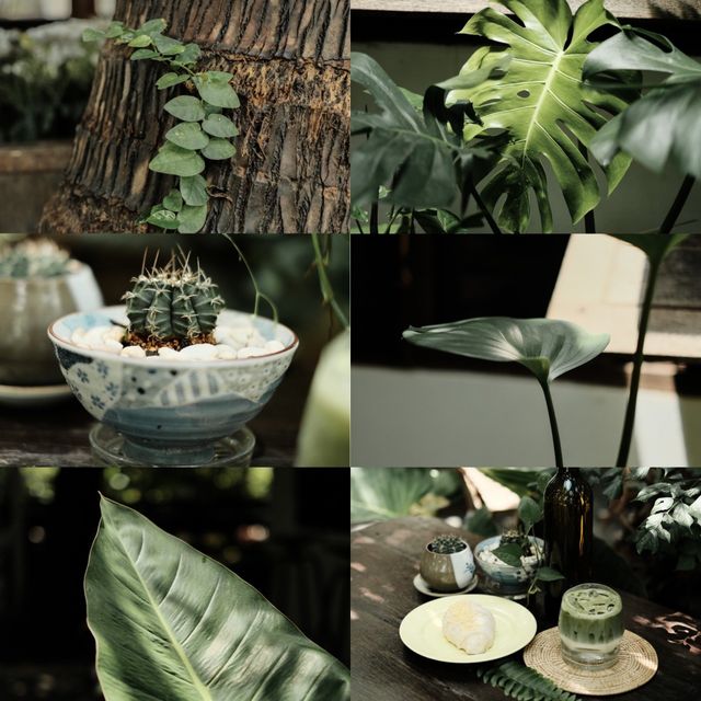 เทคนิคปรับ โทนสีจากกล้อง เทคนิค แต่งรูป Lightroom เทคนิคปรับ โทนสีจากกล้อง เทคนิค แต่งรูป Lightroom