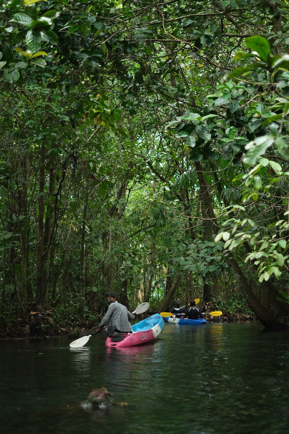 เที่ยวกระบี่