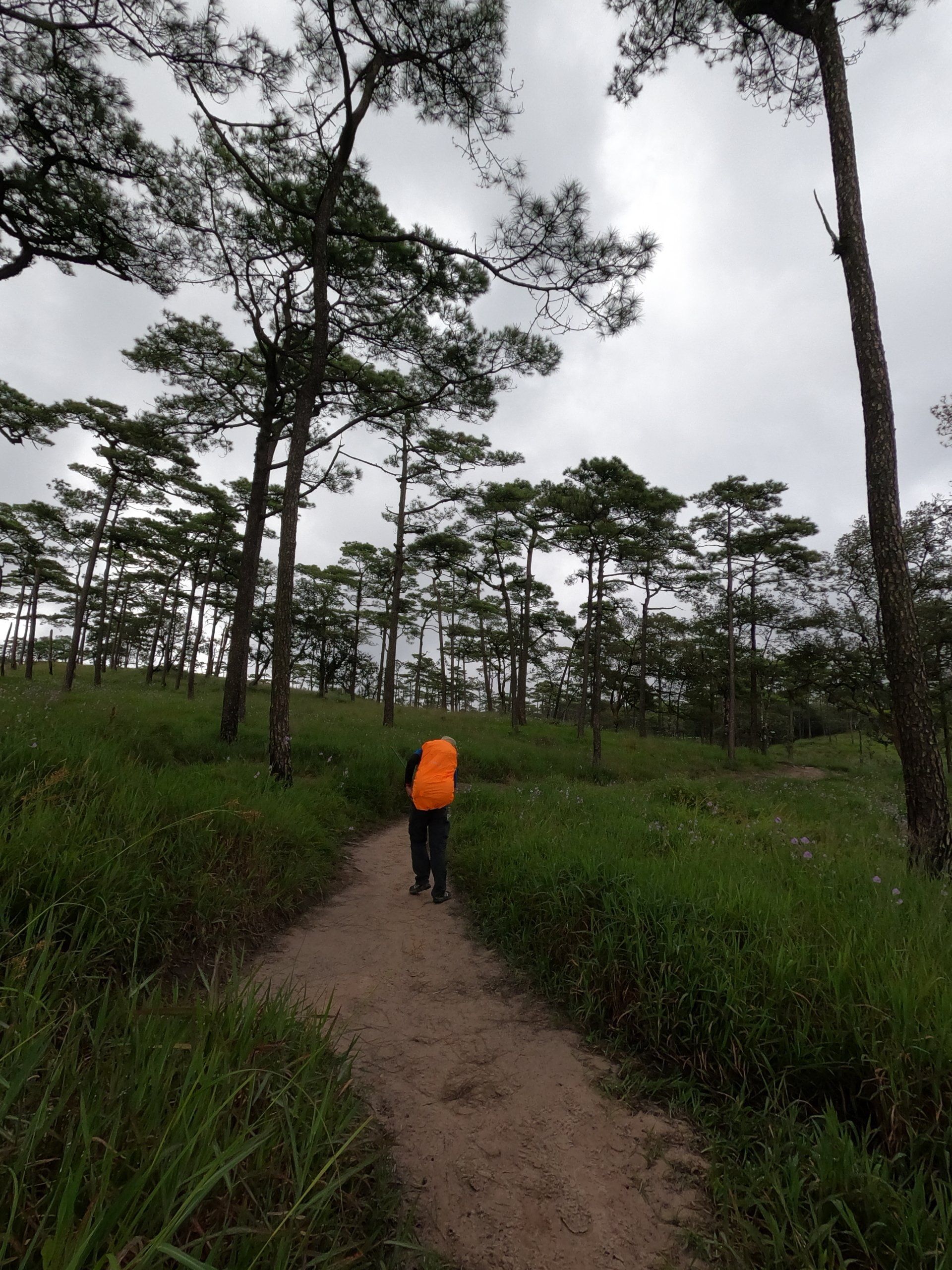 สถานที่ท่องเที่ยว,ภูสอยดาว,ท่องเที่ยว,เดินป่า,กางเต้นท์,เที่ยว